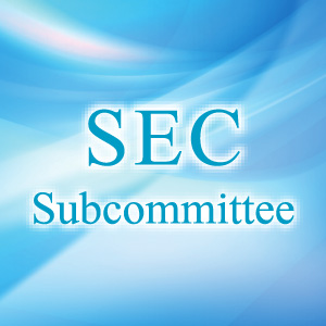 SEC Subcommittee
